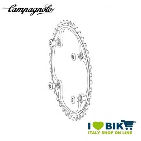 Campagnolo Gear 2011/14 internal 36 T Campagnolo - 1