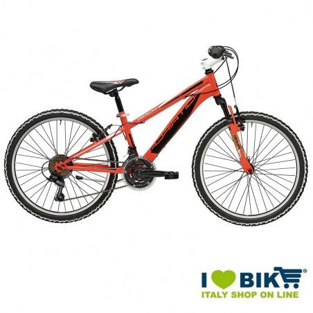 ROCK 24 Adriatica Cicli - 2