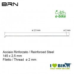Raggio rinforzato con nipples 145 x 2,5 mm, Filetto 2 mm BRN - 1
