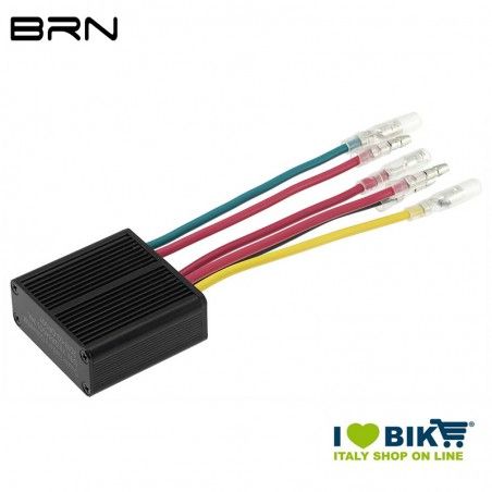Double battery 36V BRN BRN - 1