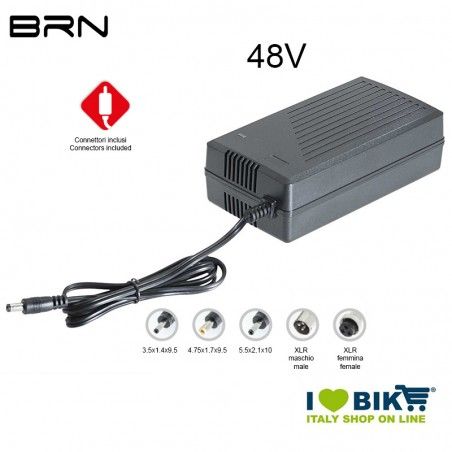 Fast Charger 48V Lithium BRN BRN - 1