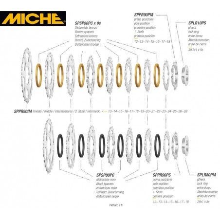PACCO PIGNONI 8V 14/23 SH MICHE PRIMATO  - 2