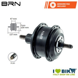 Motore posteriore Corsa 250W BRN BRN - 1