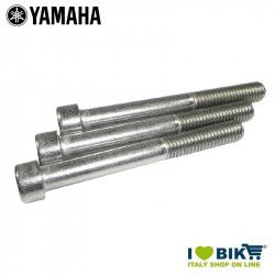 Set di viti motore E-Bike Yamaha  - 1