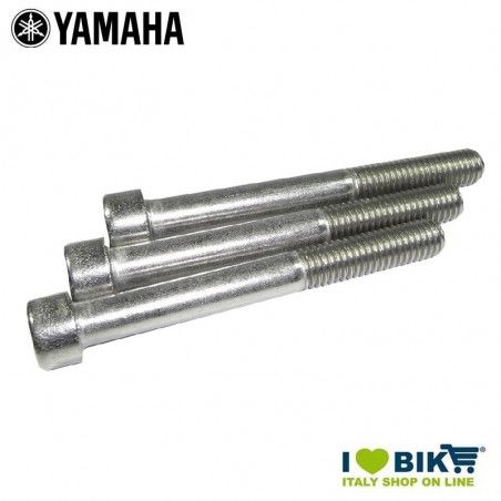 Set di viti motore E-Bike Yamaha  - 1