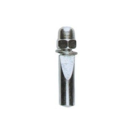 Chiavella nut  - 1