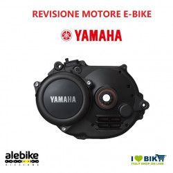 Partial replacement of YAMAHA e-bike motor bearings Yamaha - 1