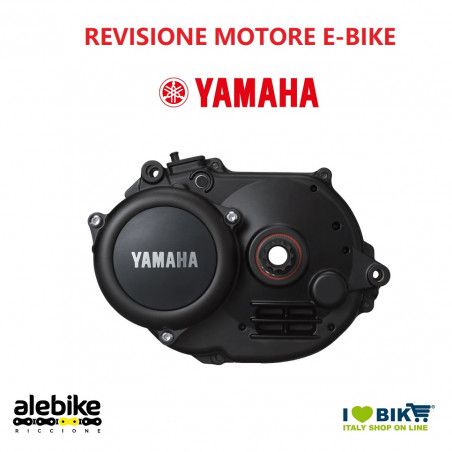 Partial replacement of YAMAHA e-bike motor bearings Yamaha - 1