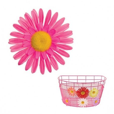 Large Pink Daisy Flower BRN - 1