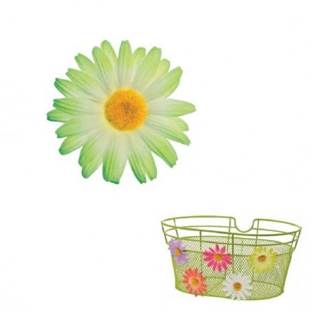 Small Green Daisy Flower BRN - 1