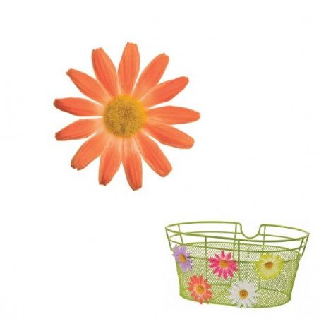 Small Orange Daisy Flower BRN - 1