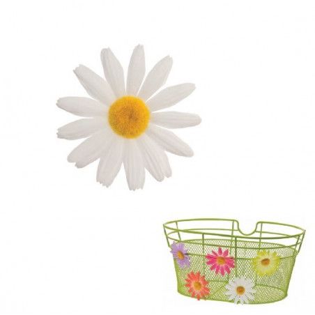 Small White Daisy Flower BRN - 1