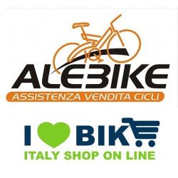 1 wheel assembly SERVIZI ILOVEBIKE - 1