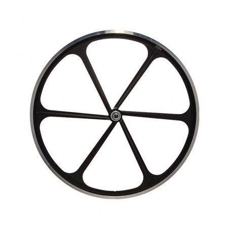 Front wheel Fixed 28 6-spoke aluminum black RMS - 1