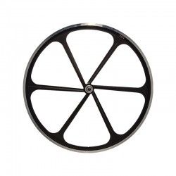 Rear Wheel Fixed 28 with 6 spokes black RMS - 1